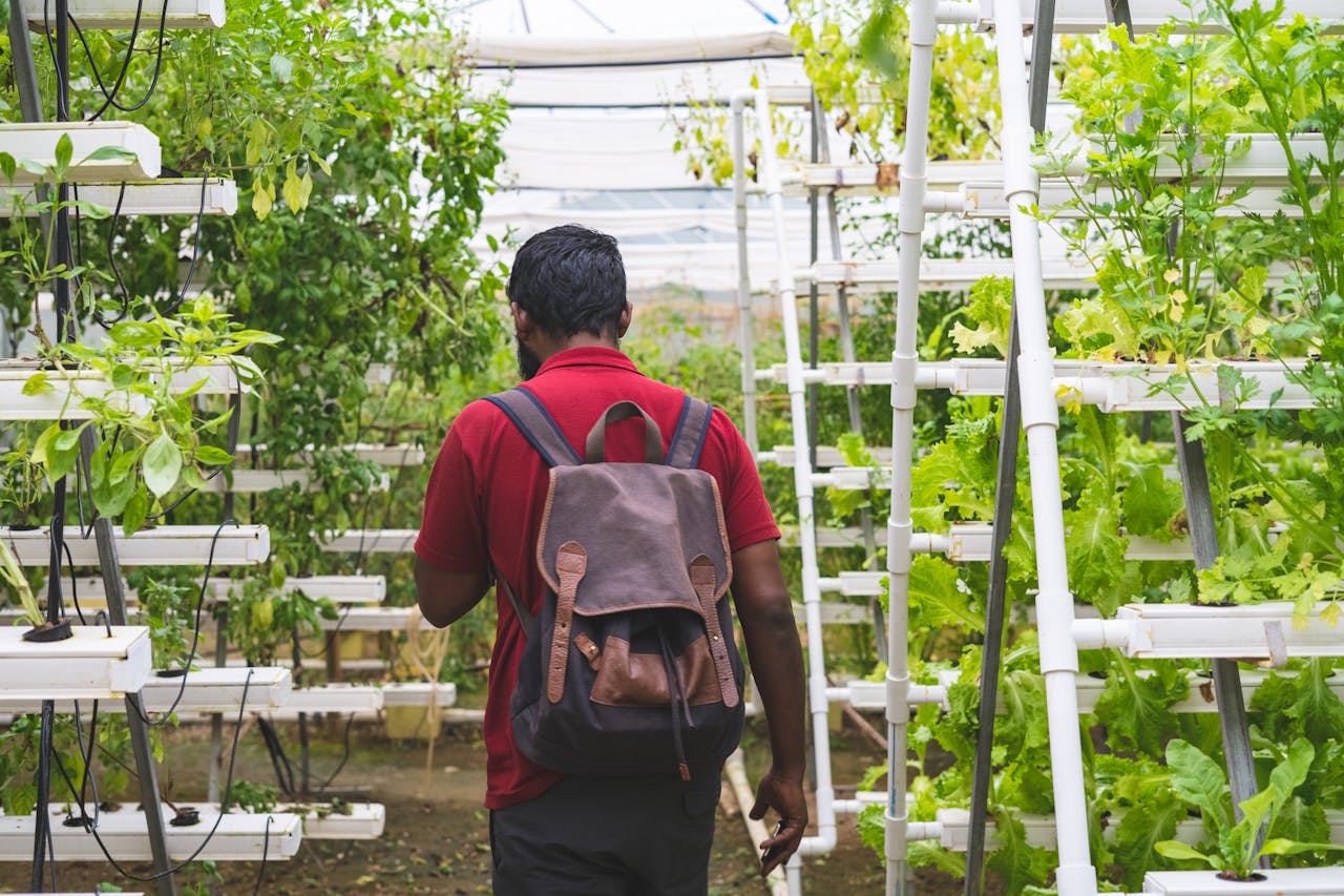 gallery-05 A man with a backpack in a lush greenhouse practicing vertical gardening.